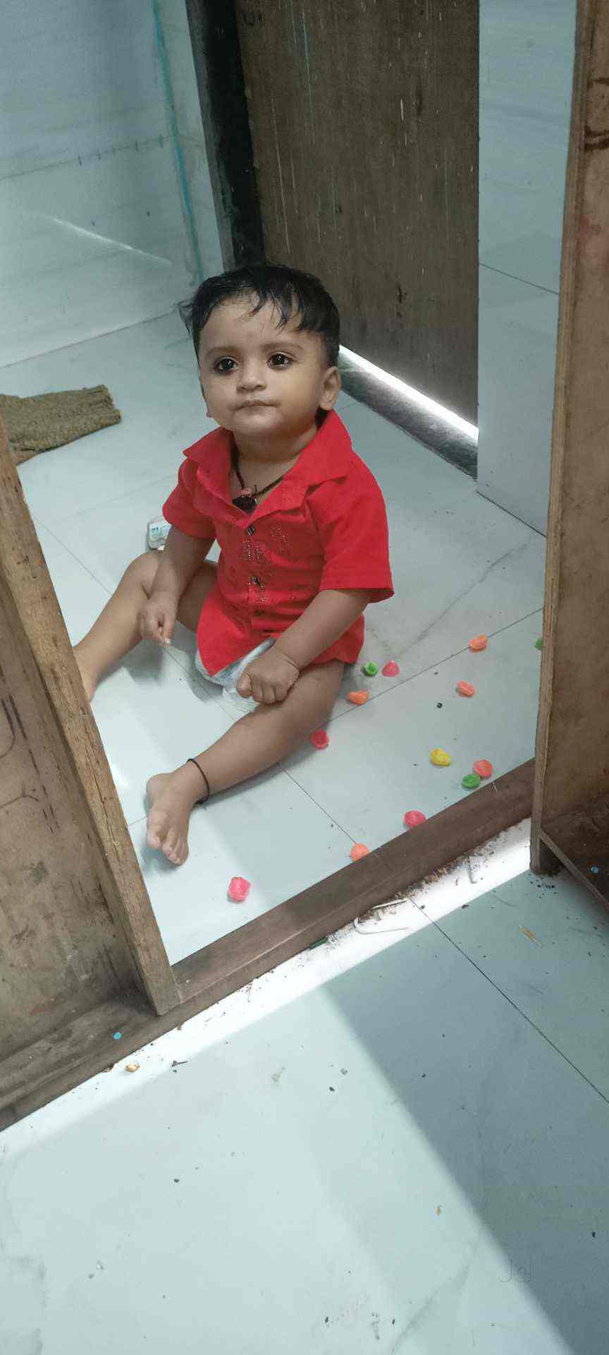 D K Pest Control in Malad West,Mumbai Best Pest Control Services For