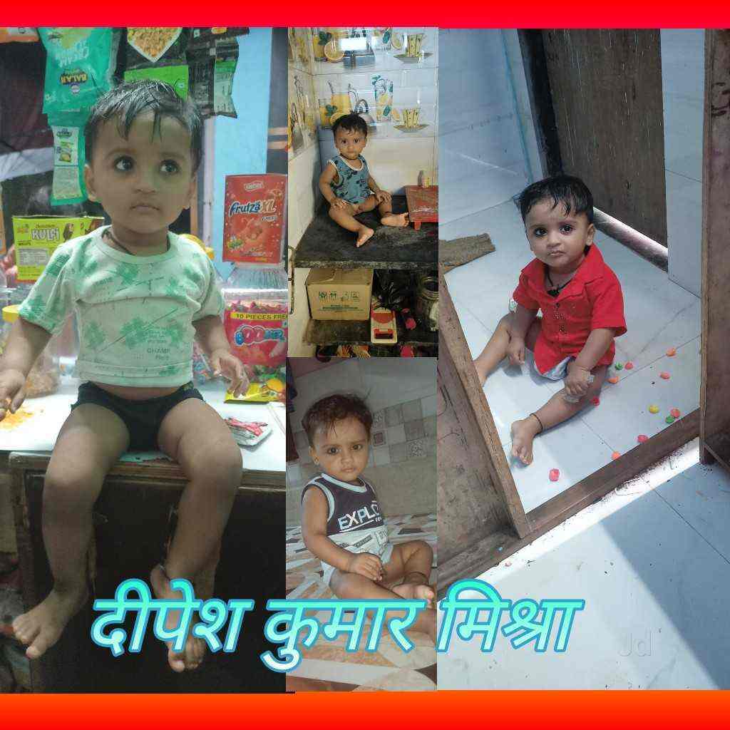 D K Pest Control in Malad West,Mumbai Best Pest Control Services For