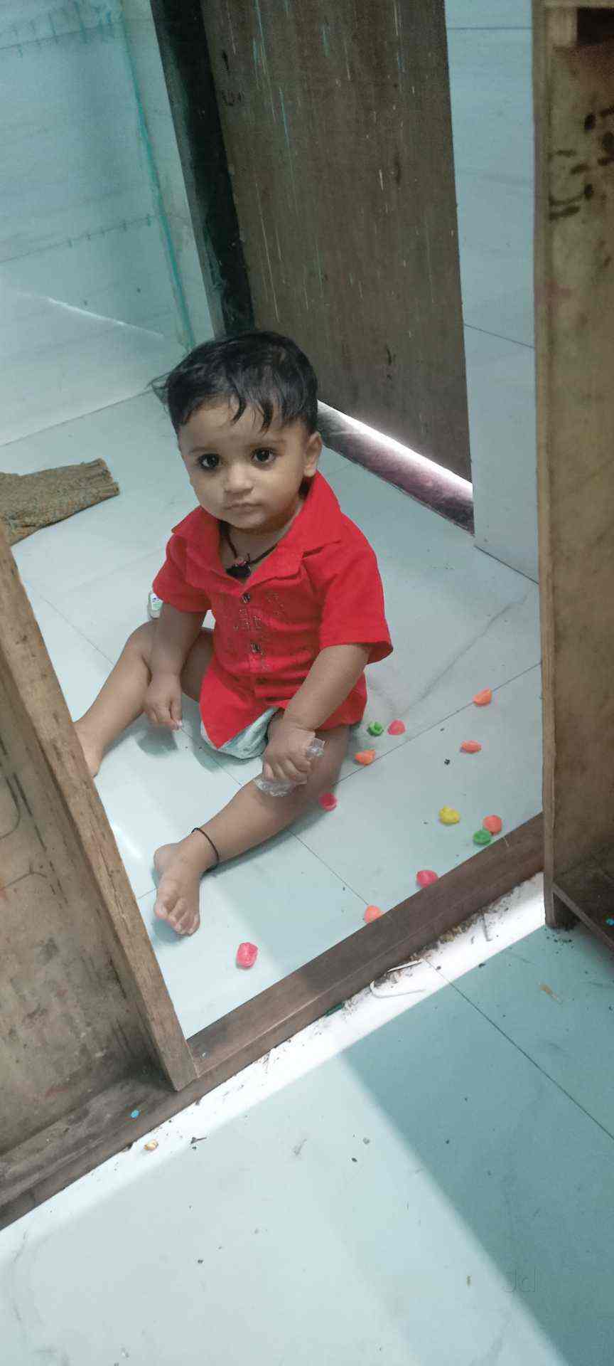 D K Pest Control in Malad West,Mumbai Best Pest Control Services For