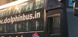 Dolphin Travels in Dadar East, Mumbai