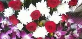 Flora Fantasy in Powai, Mumbai