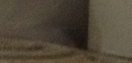 City Link Packers And Movers in Vashi, Mumbai