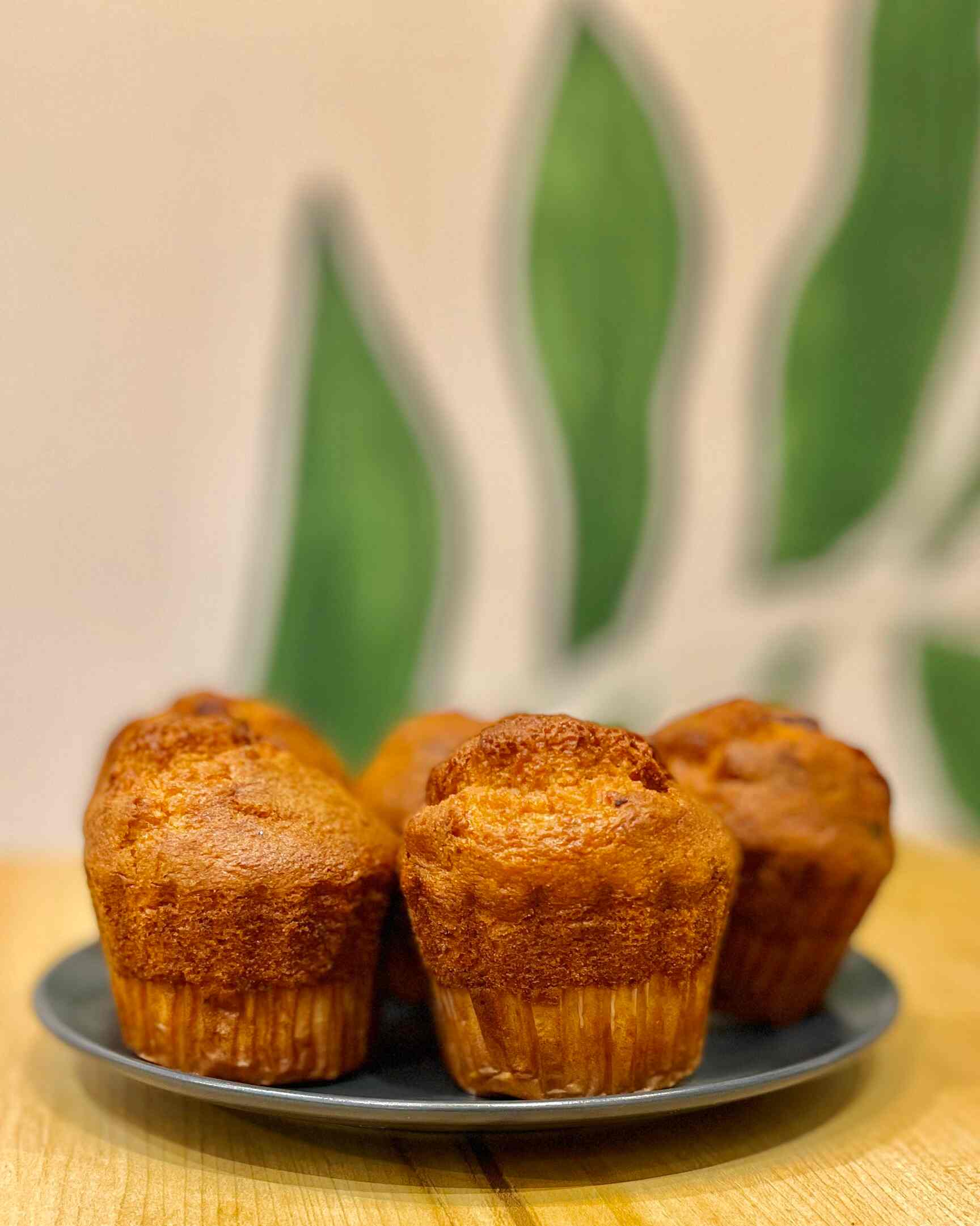 Brakefree Cafe in bandra west,Mumbai Best Coffee Shops in Mumbai