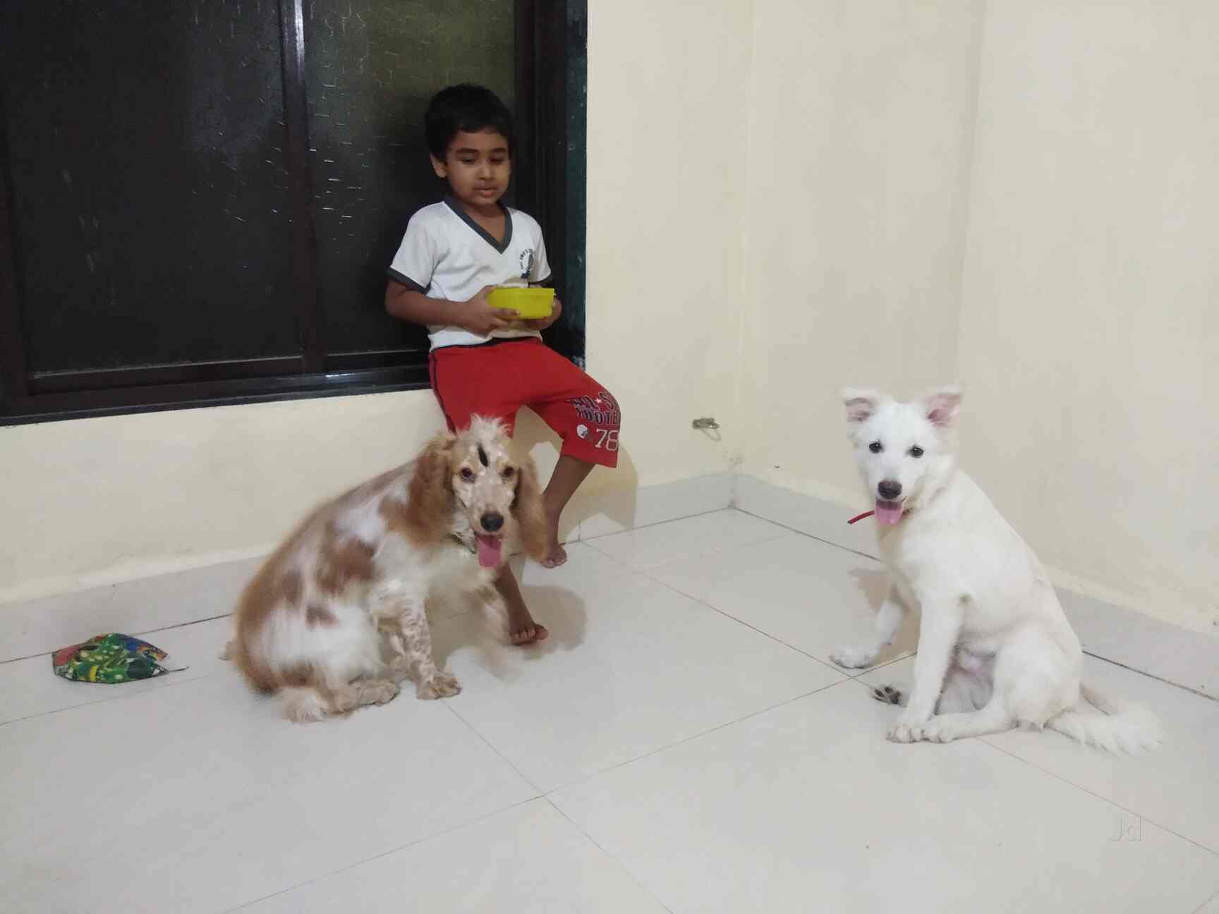 dog care takers near me