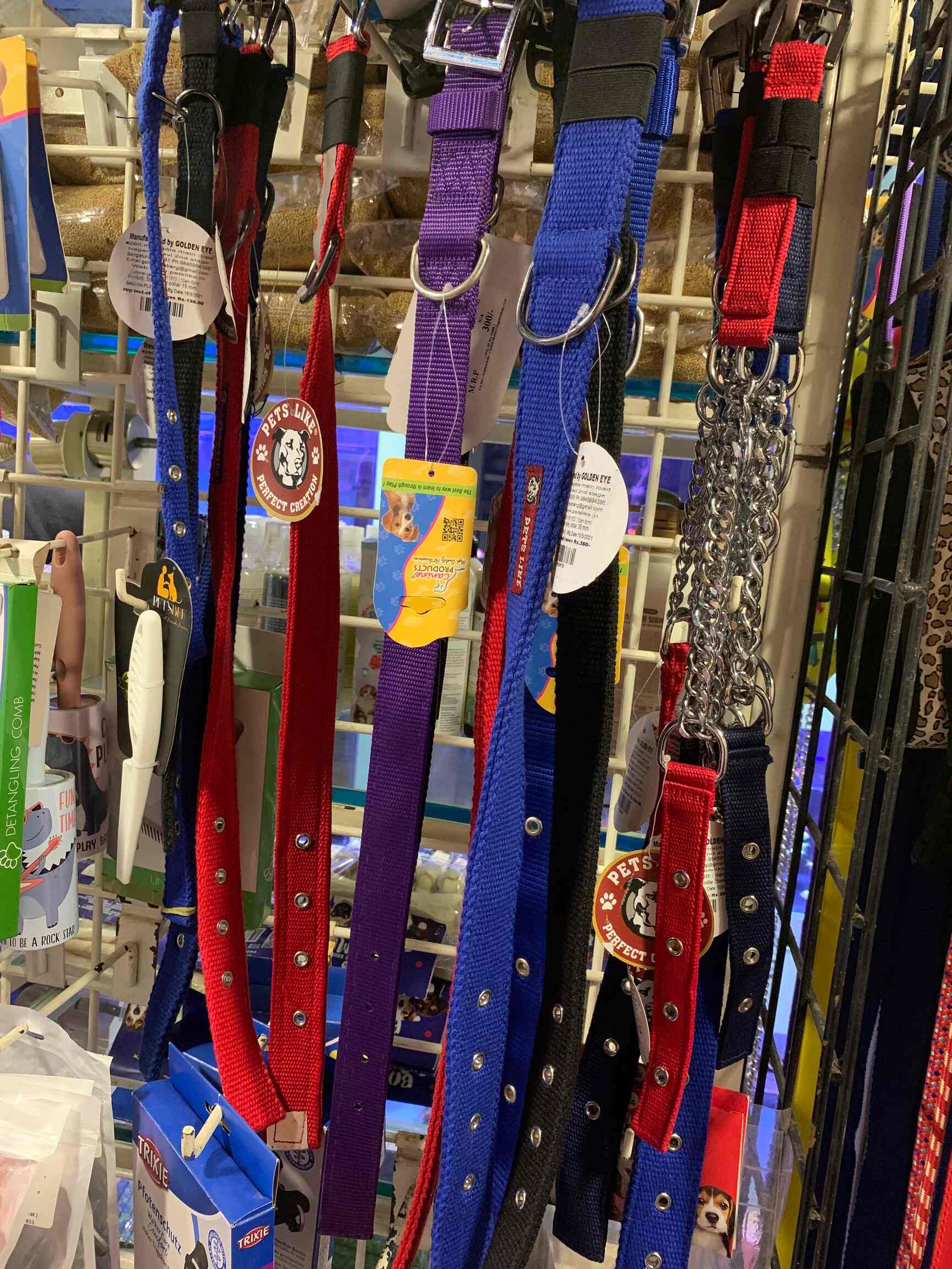 Top Cat Hostels in RajanpadaKharghar, Mumbai Best Cat Boarding