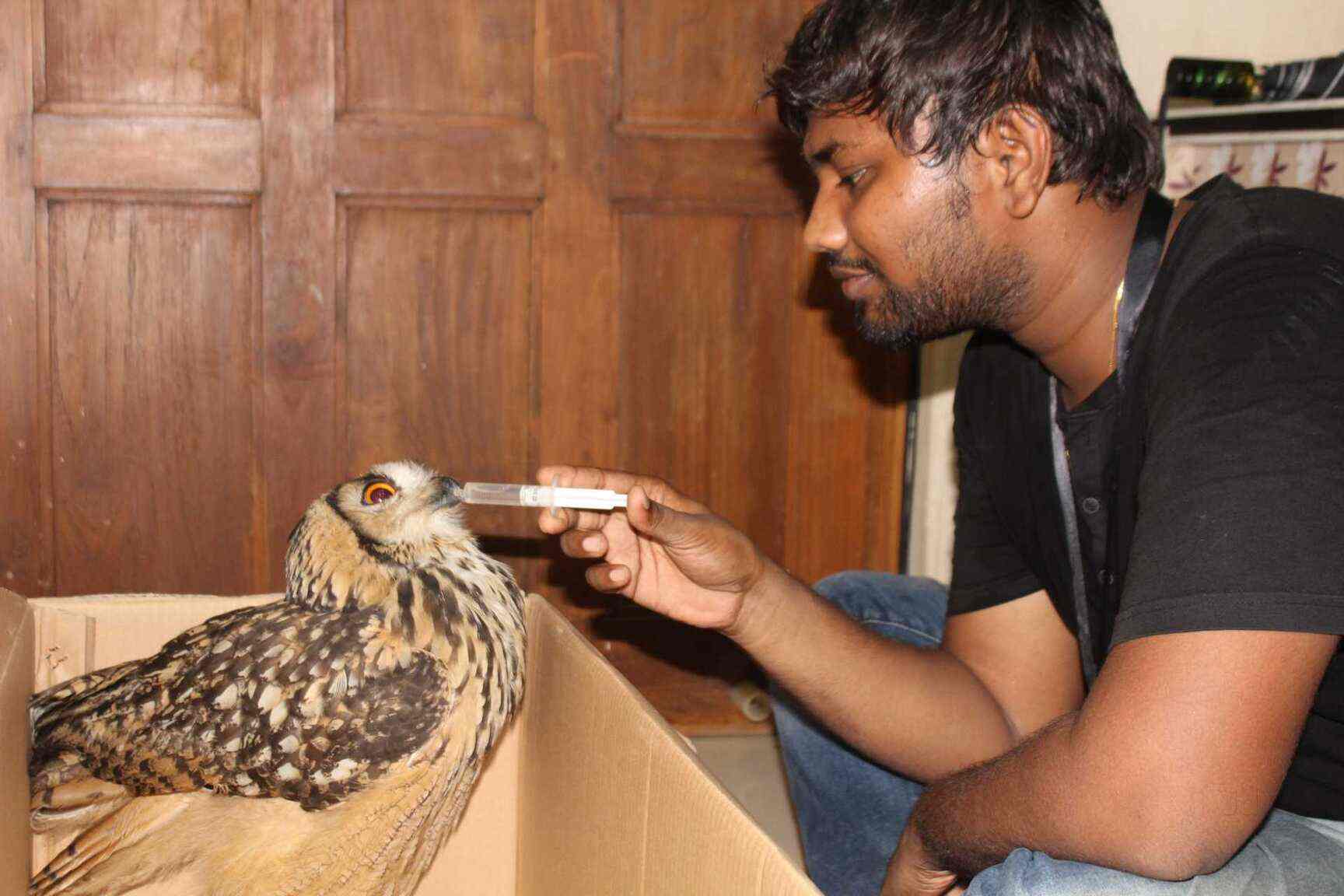 Top 100 Animal Welfare Organisations In Thane West Best Ngos For Animal Welfare Mumbai Justdial