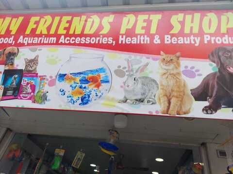 My friends pet hot sale shop