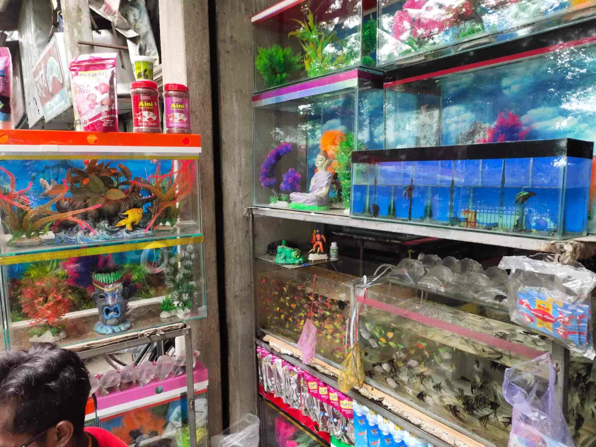 Aquarium near clearance me shop