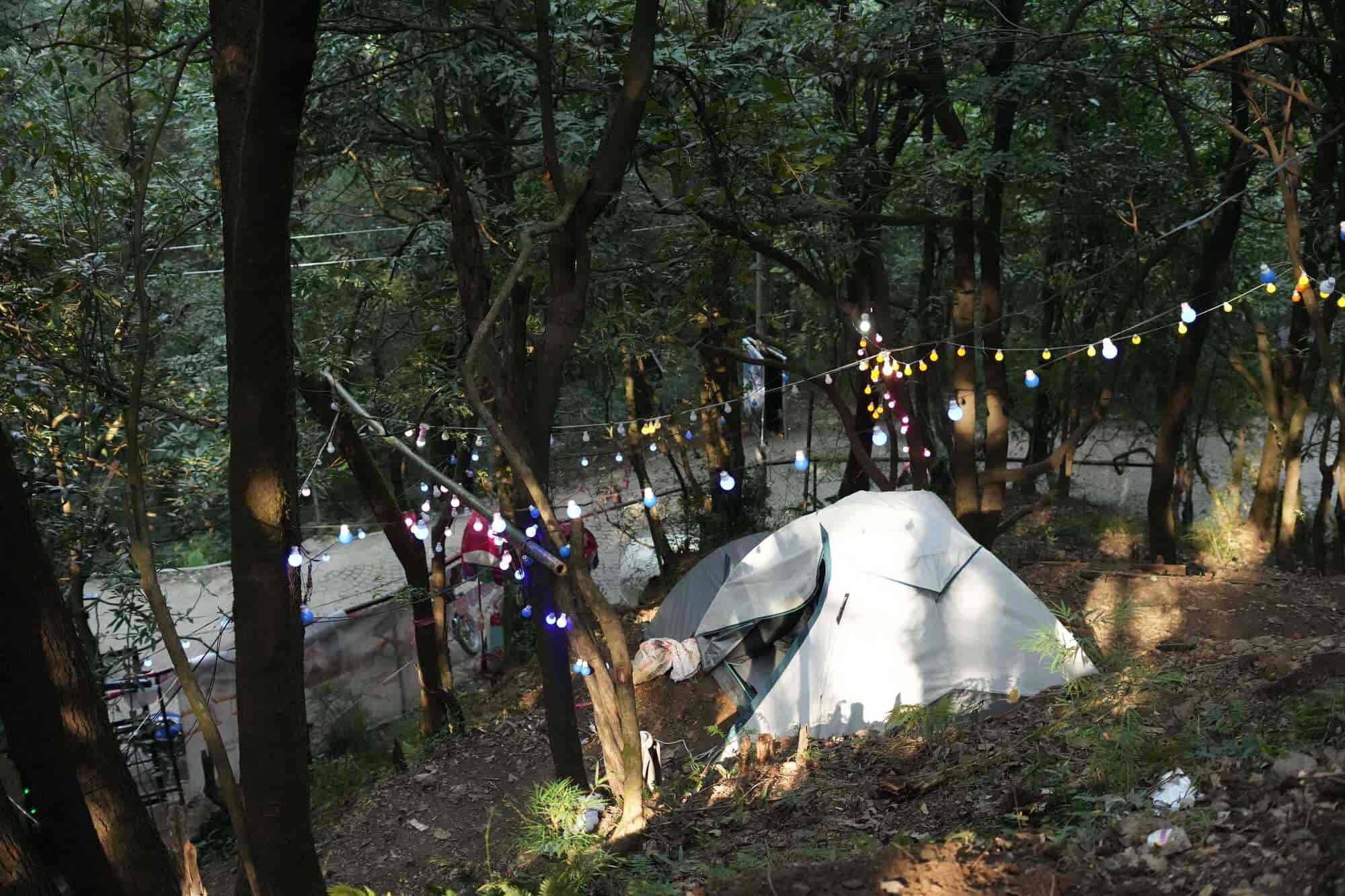 Top Nature Camps in Solan near me - Justdial