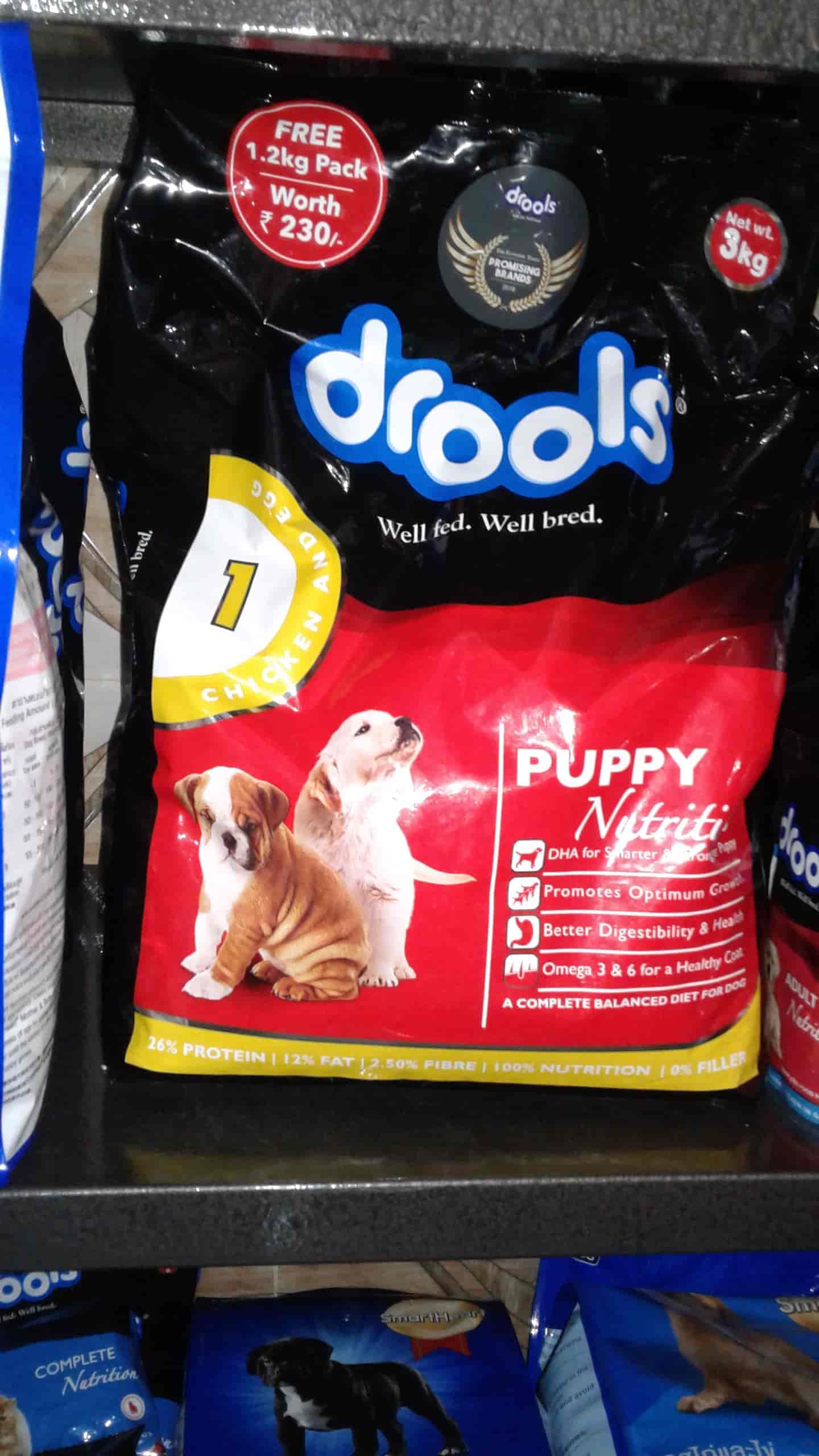 Top Pet Shops For Cat in Shamli Best Pet Shops For Kitten Shamli near