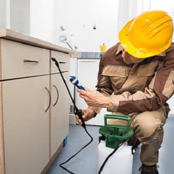 Professional Pest Control Treatment