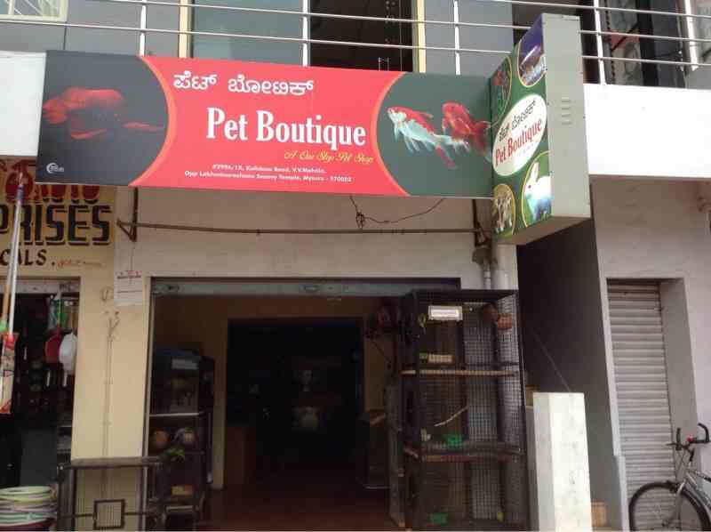 Pet boutique deals near me