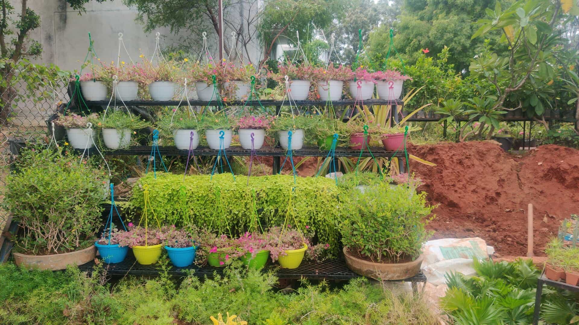 Top Plant Nurseries in Hinkal,Mysore Best Government Plant Nurseries
