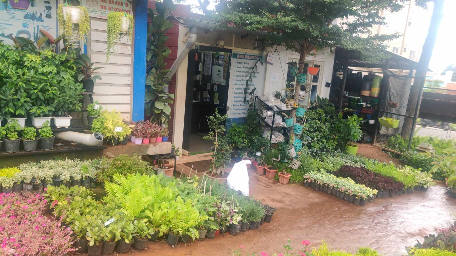 Top Plant Nurseries in Hinkal,Mysore Best Government Plant Nurseries