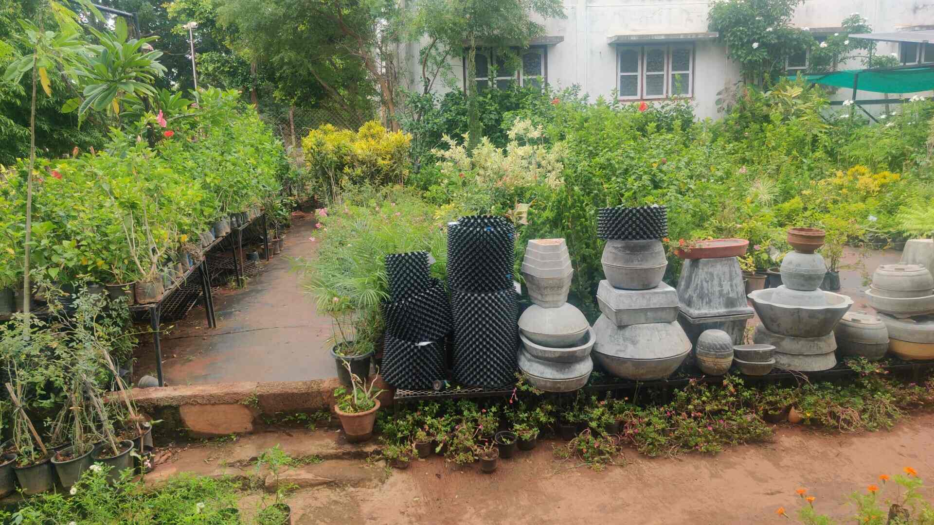 Top Plant Nurseries in Hinkal,Mysore Best Government Plant Nurseries