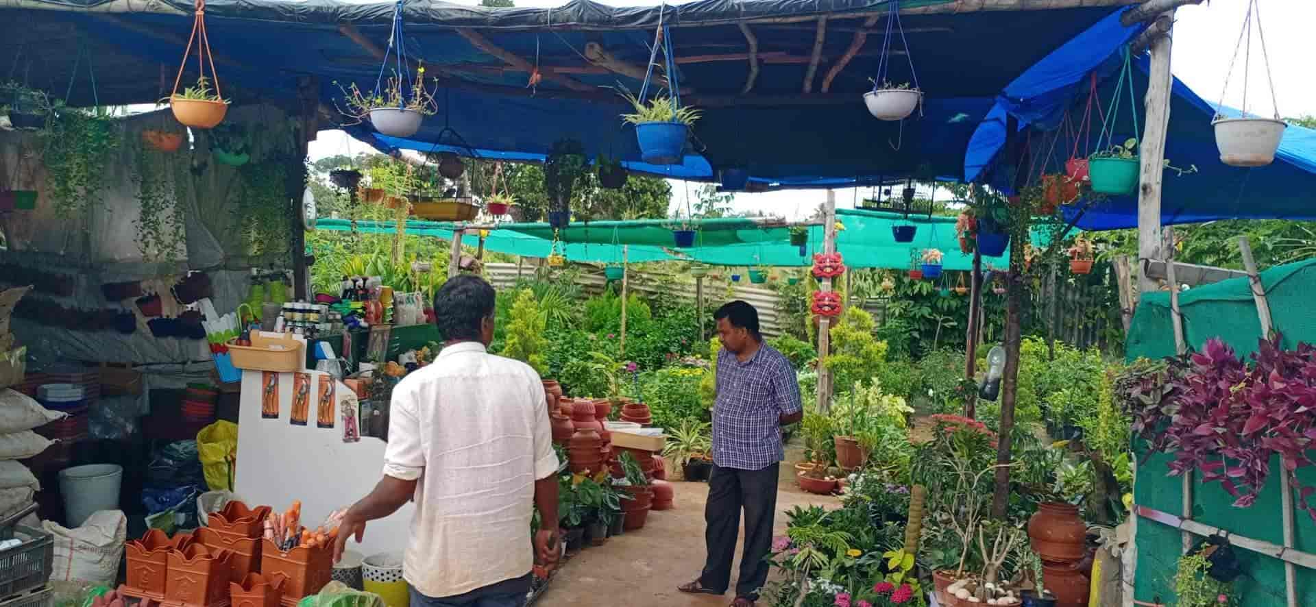 Top Plant Nurseries in Hinkal,Mysore Best Government Plant Nurseries