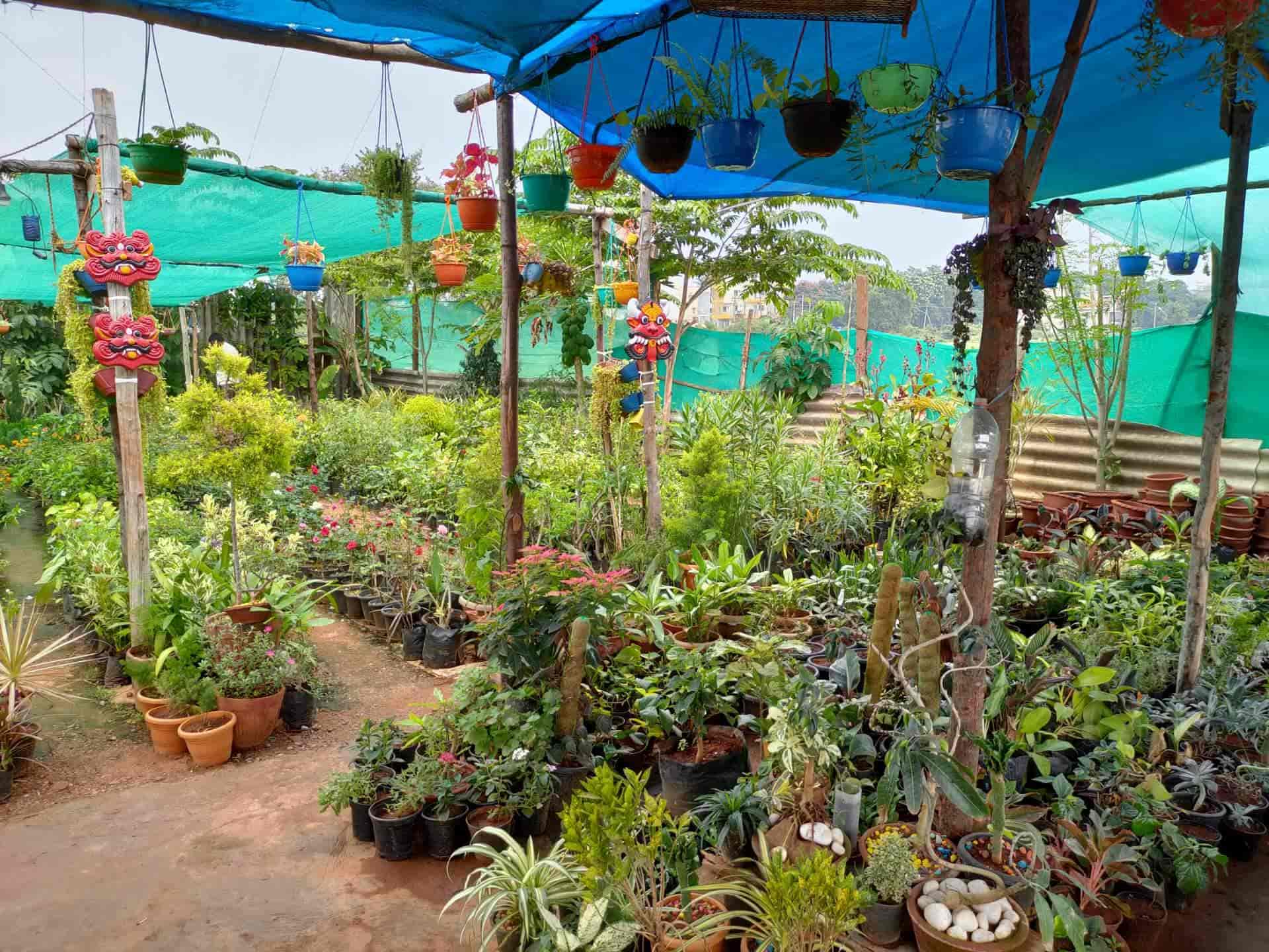 Top Plant Nurseries in Hinkal,Mysore Best Government Plant Nurseries