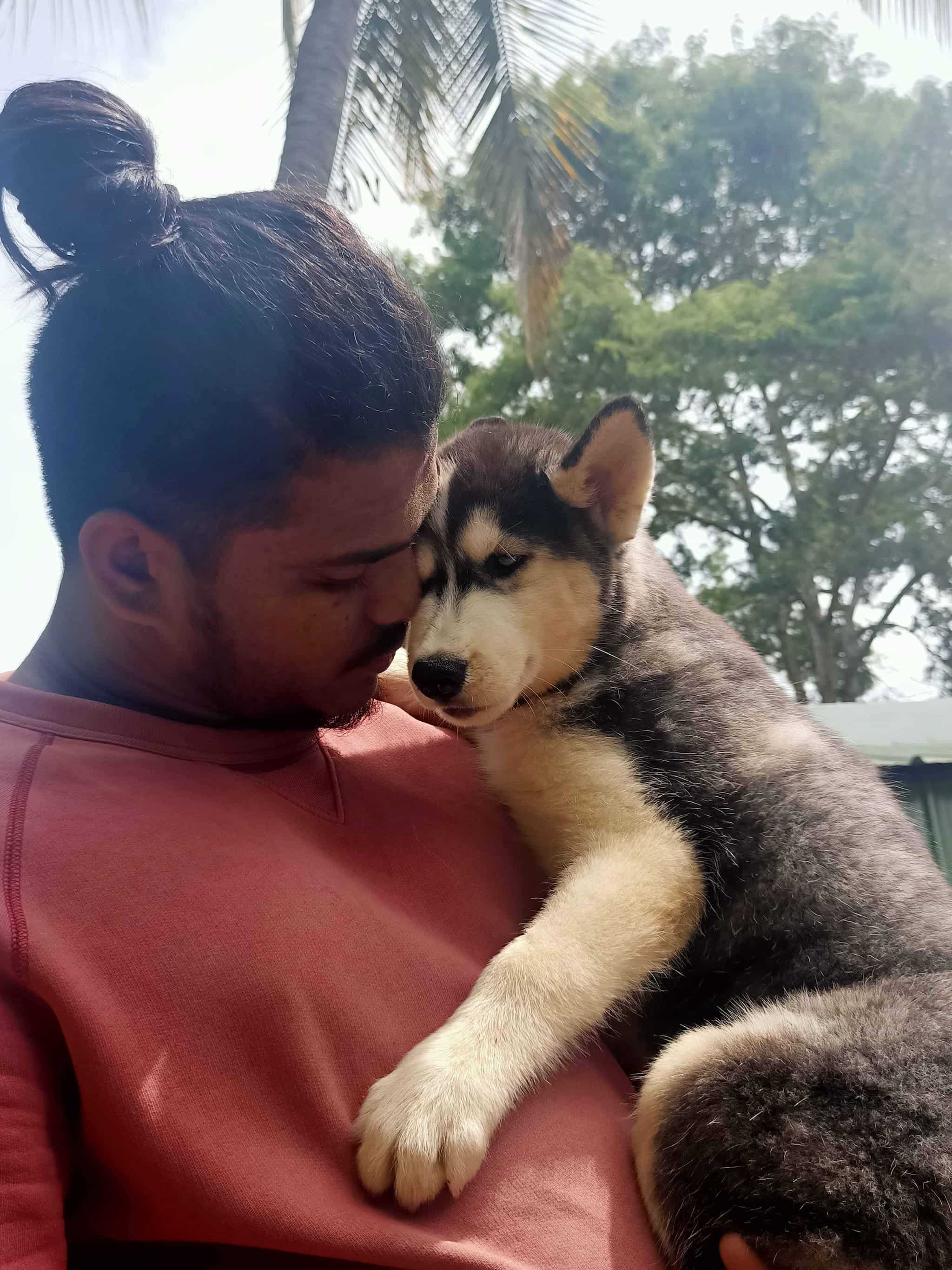 Sweet Dogs For Life, Ramakrishnanagar Dog Kennel Dealers in Mysore