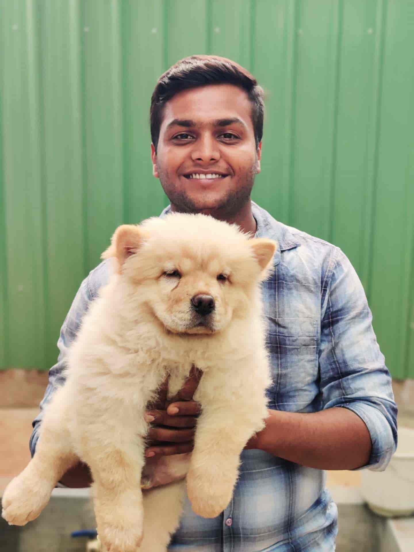 Top Pet Shops For Basset Hound Dog In Mysore Best Pet Stores For swimming-pool-near-me-the-ultimate-guide-to-finding-your-perfect-oasis