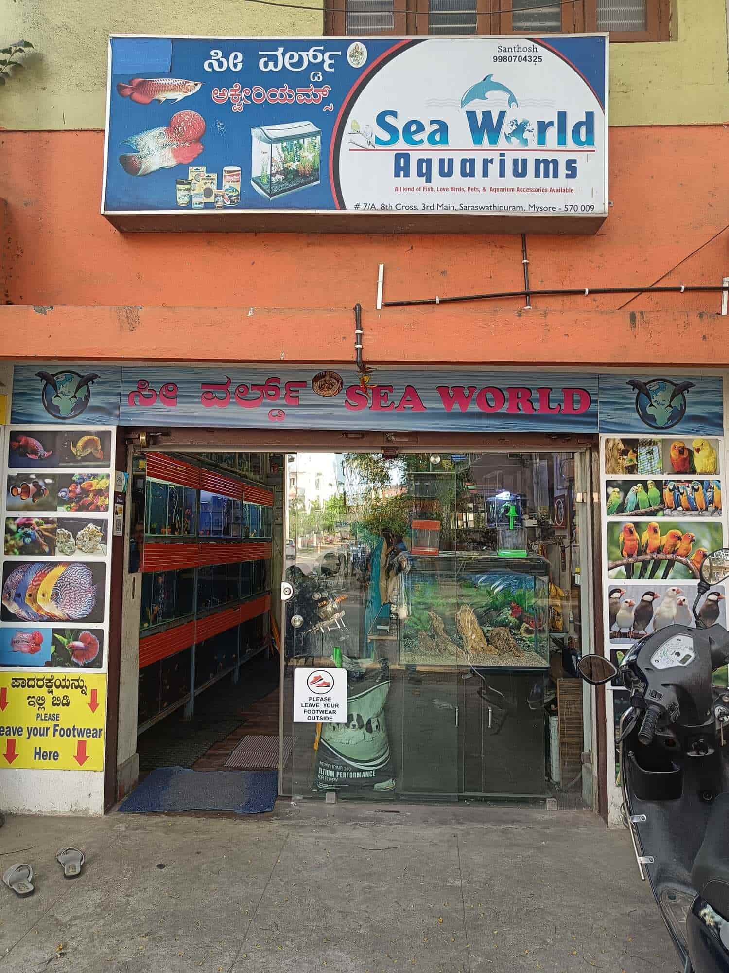 Birds accessories shop near hot sale me