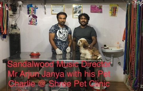 My pet's best sale vet clinic