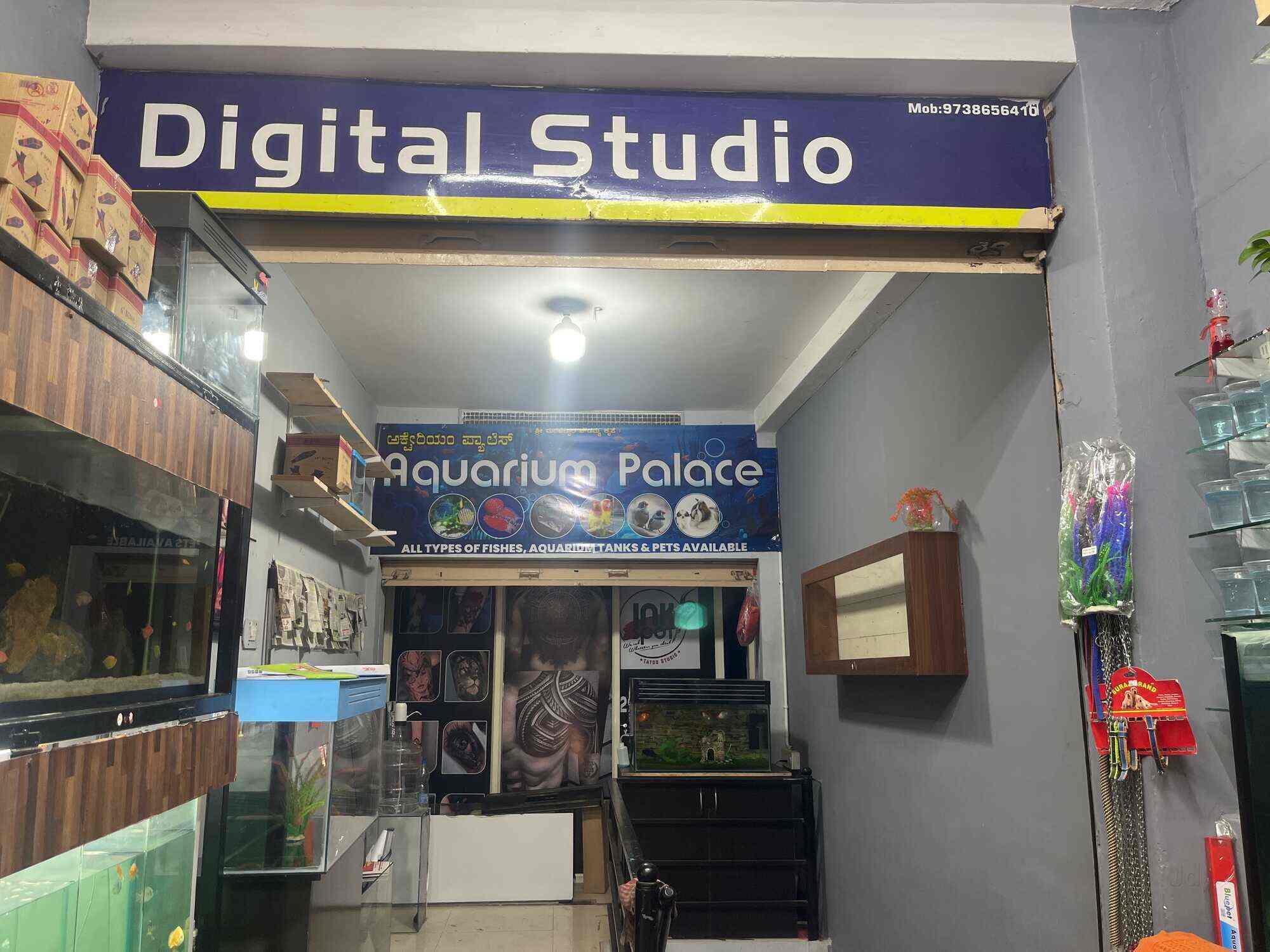 Aquarim palace in Siddhartha Layout,Mysore Best Aquarium Fish Dealers