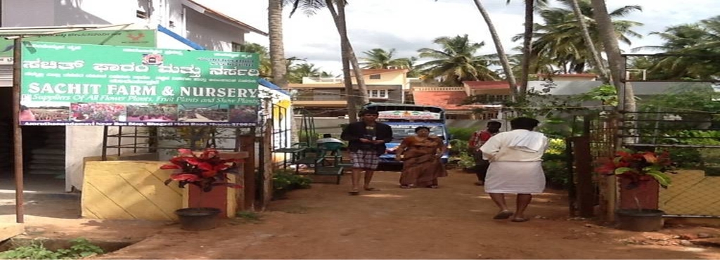 Sachit Farm Nursery Bogadi Plant Nurseries In Mysore Justdial Sachit Farm Nursery