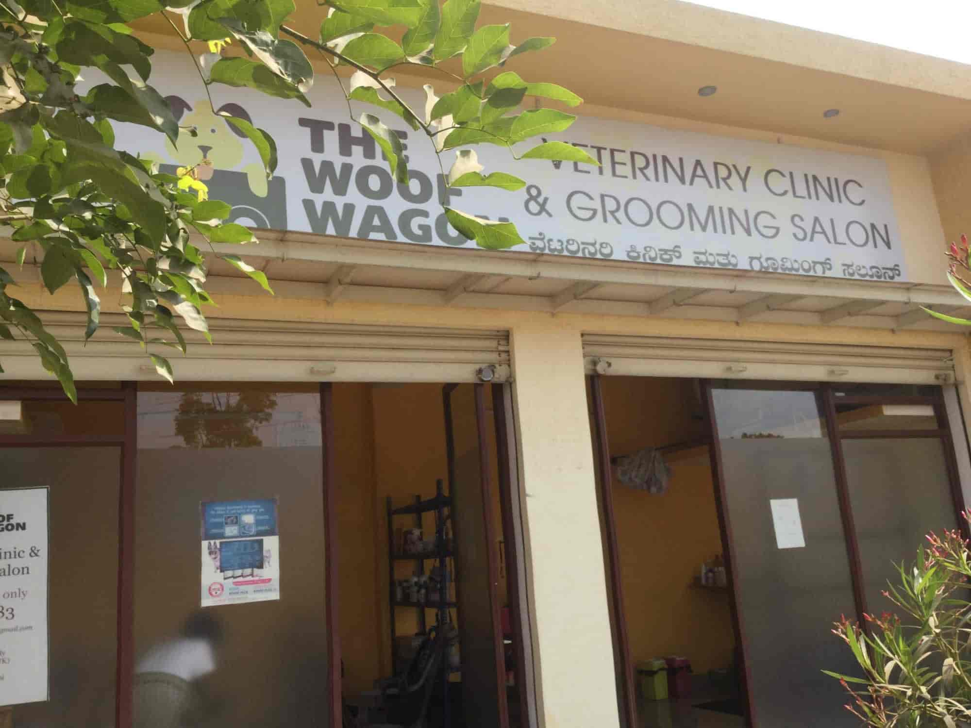 The Woof Wagon in Dattagalli Mysore Best Veterinary Clinics in