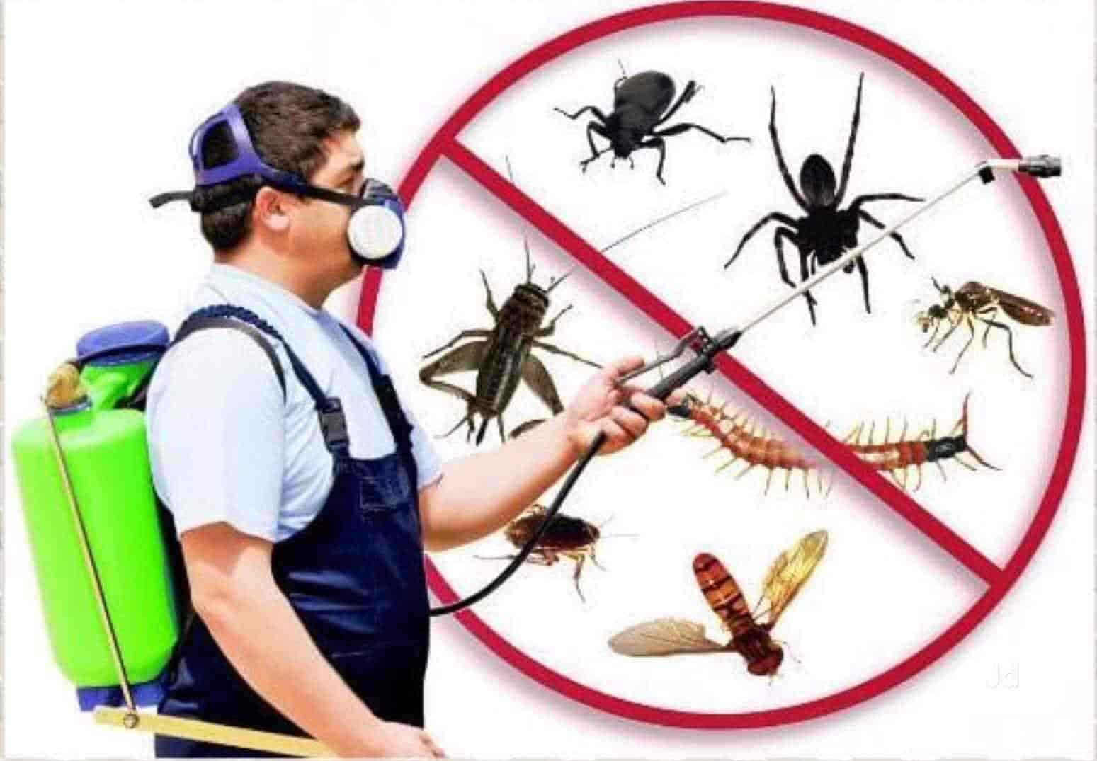 Image result for pest control