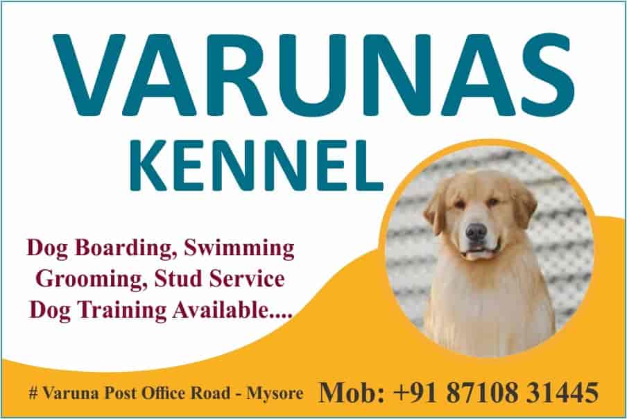 How Much Does It Cost To Kennel A Dog For 2 Weeks