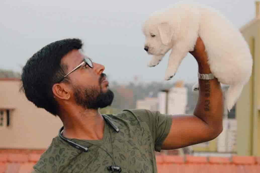 Top Pet Shops For Beagle Dog in Mysore Best Beagle Dog Dealers Justdial