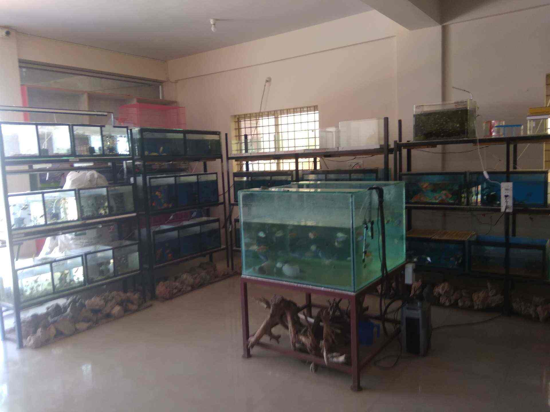 Aqua Garden Aquarium and Fish Spa, Vijaynagar 2nd Stage Dog Kennel Dealers in Mysore Justdial