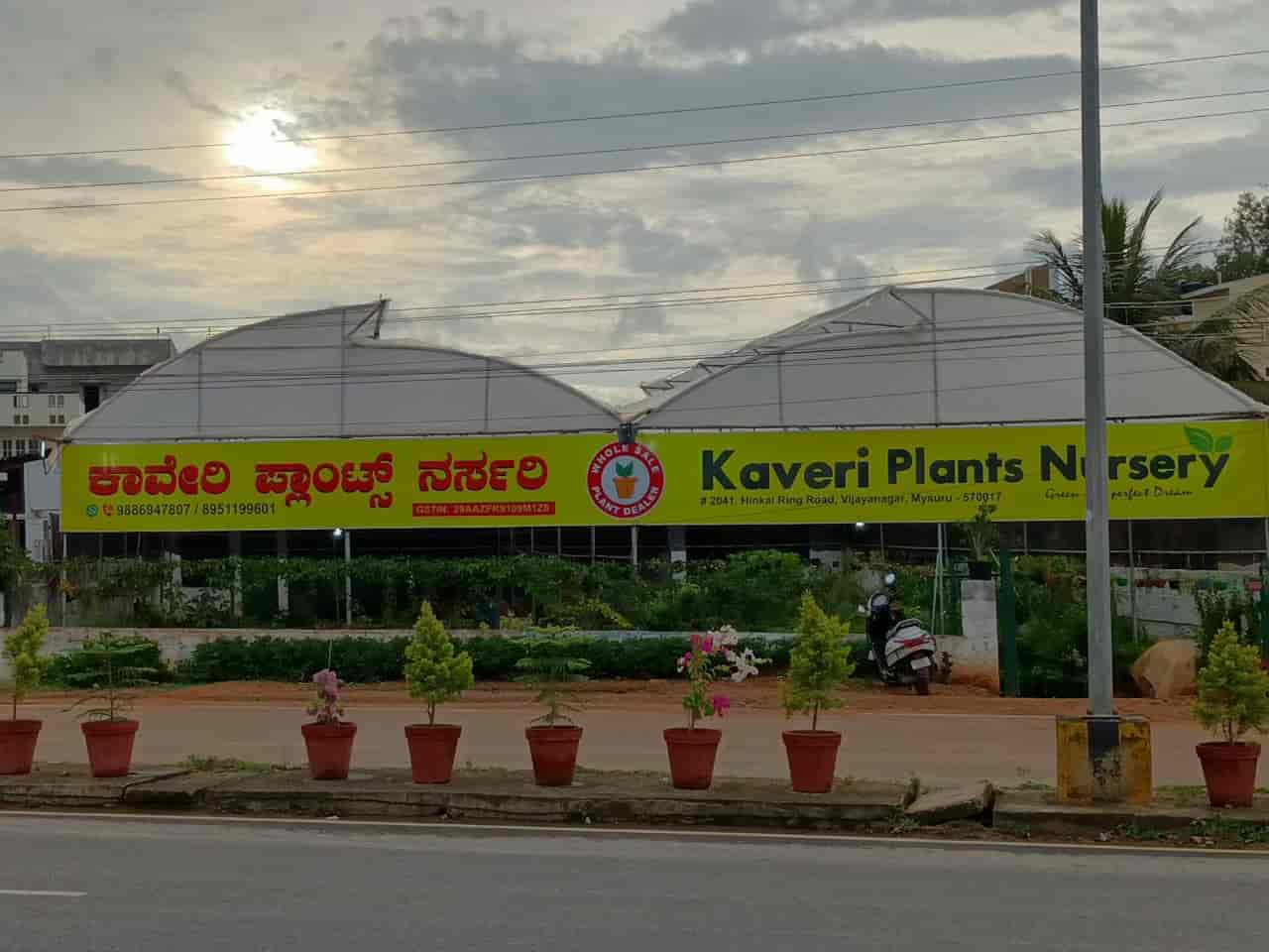 Top Plant Nurseries in Hinkal,Mysore Best Government Plant Nurseries