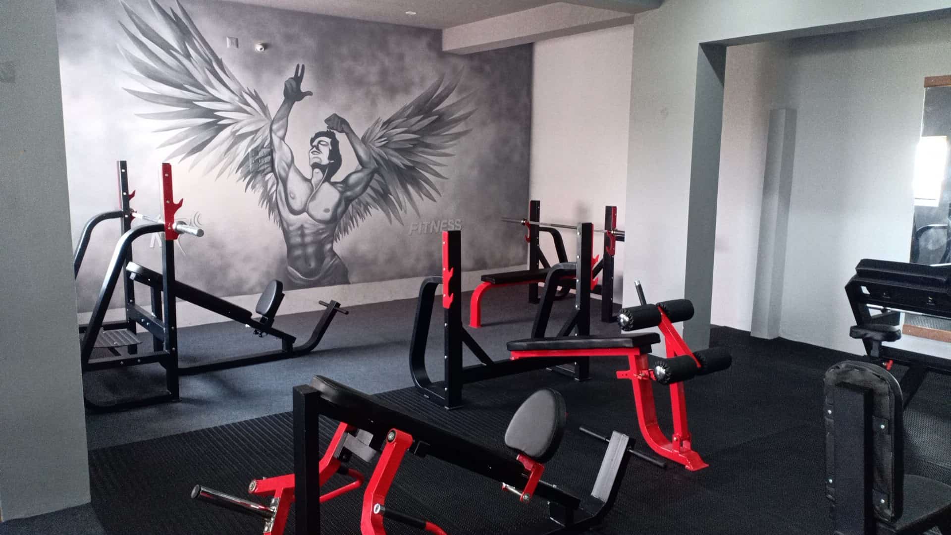 My fitness gym equipment sales
