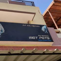 Wet pets 2024 pet store