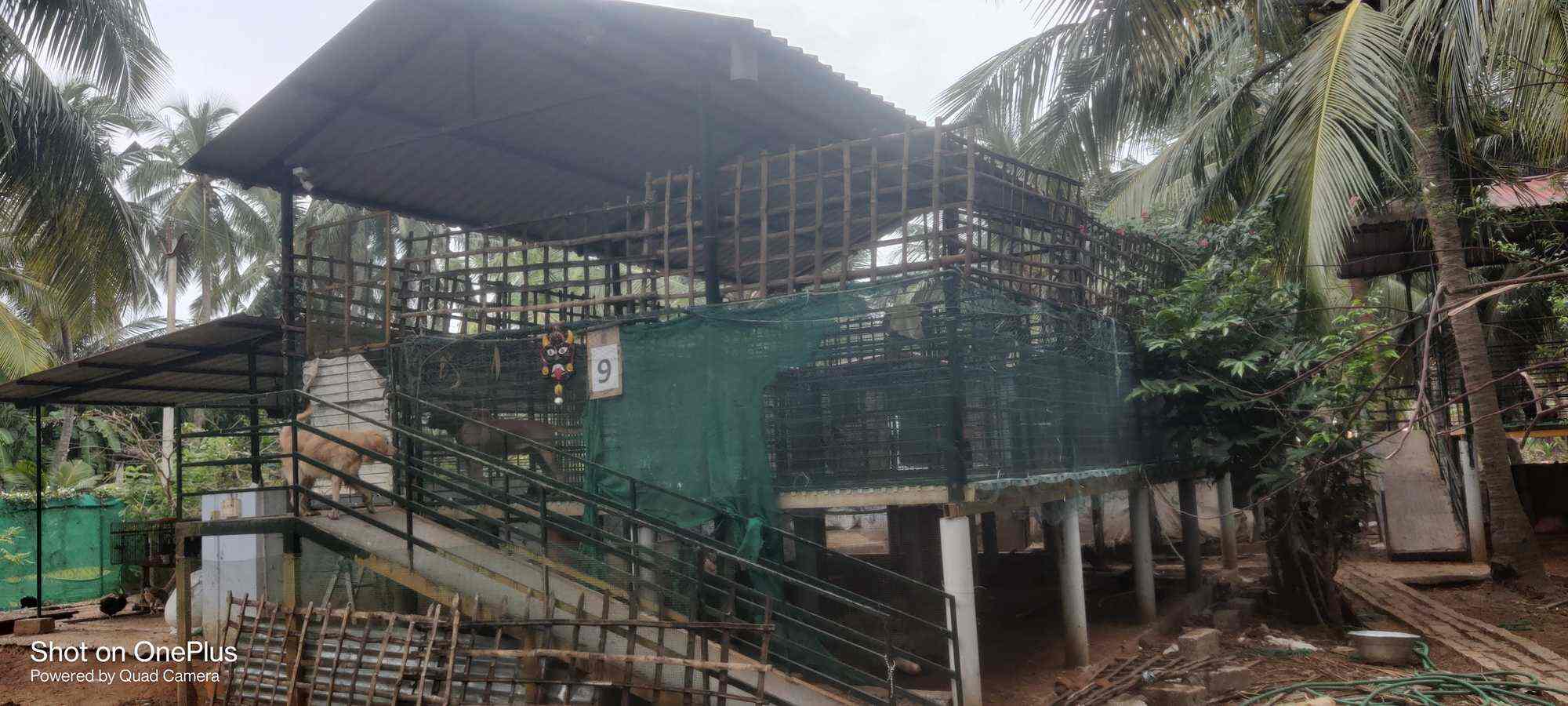 Book Jaihind Pets Hostel in OPPOSITE MUTHUKUMAR ORTHO HOSPITAL