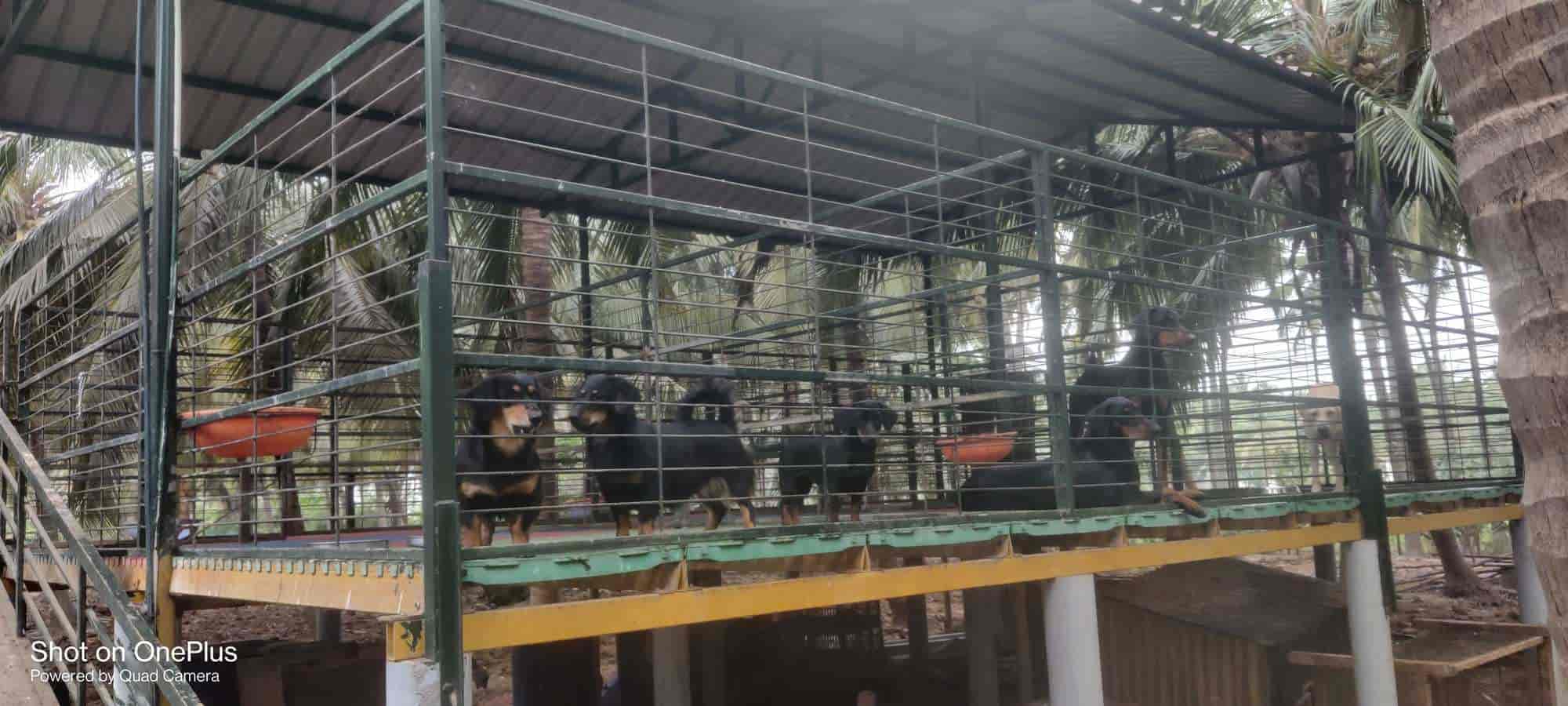 Book Jaihind Pets Hostel in OPPOSITE MUTHUKUMAR ORTHO HOSPITAL