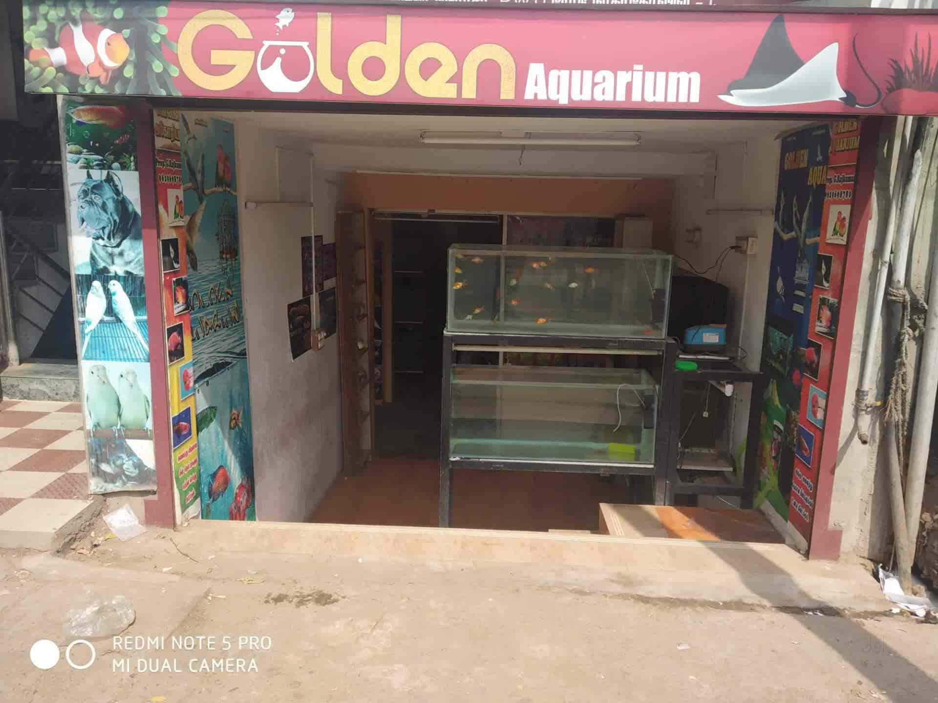 Top 20 Fish Aquarium Dealers in Nagercoil Best Fish Aquarium Shops