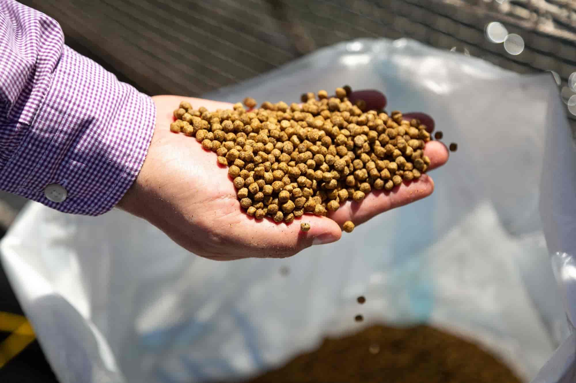 Top Cattle Feed Manufacturers in Bhilai Sector 6 Best Cattle Feed