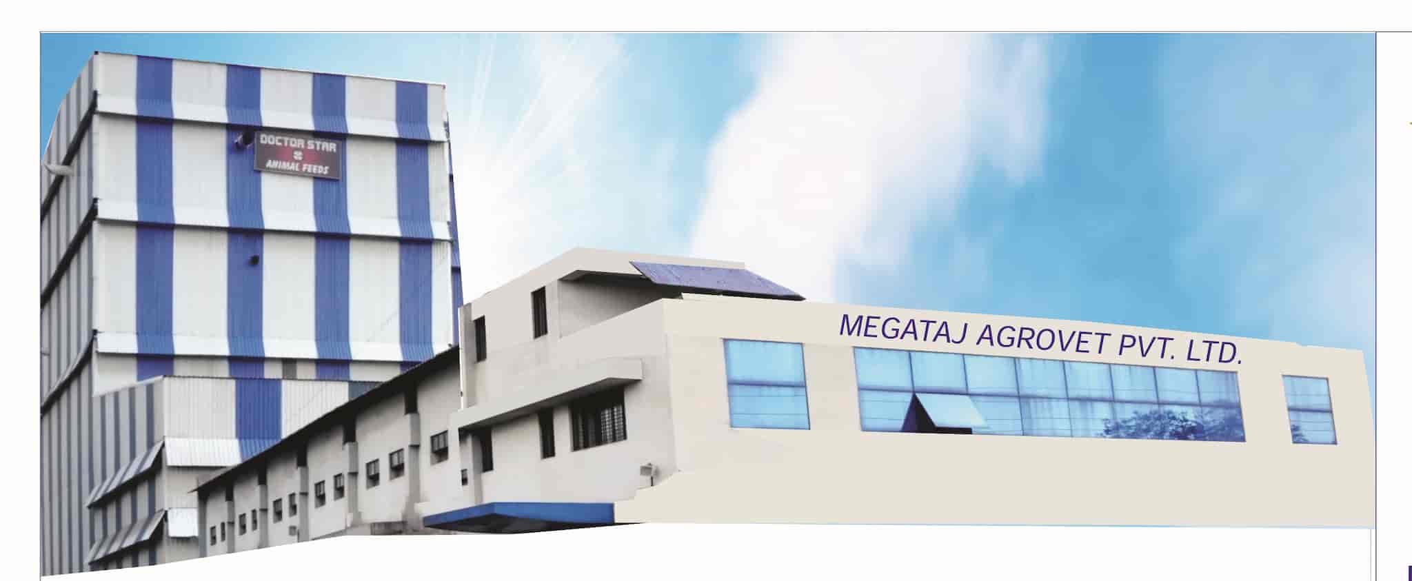 Top Cattle Feed Manufacturers in Bhilai Sector 6 Best Cattle Feed