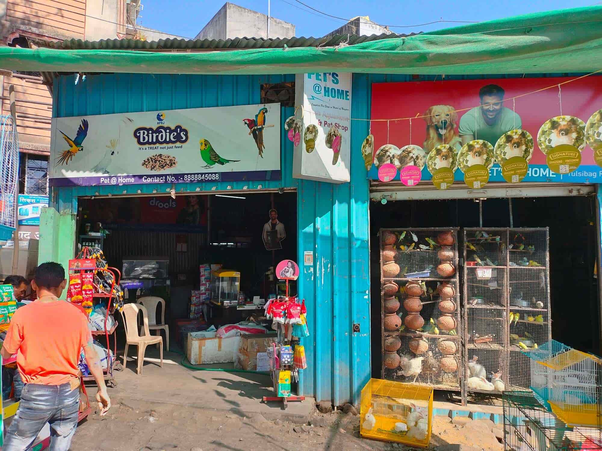 Top Pet Shops in Nagpur Best Pet Store near me Justdial