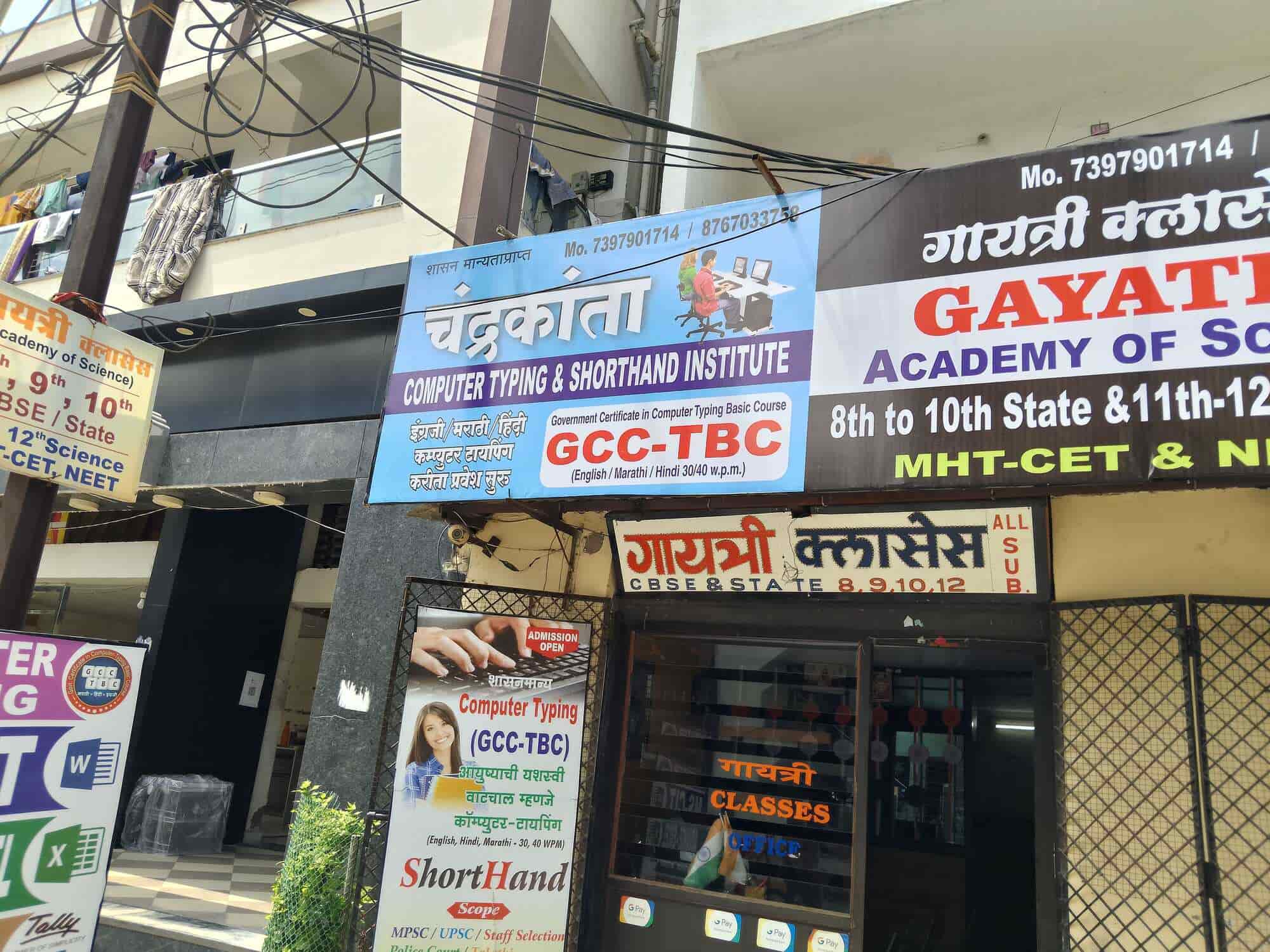 Top Cockroach Control Services in Nagpur Best Cockroach Treatment