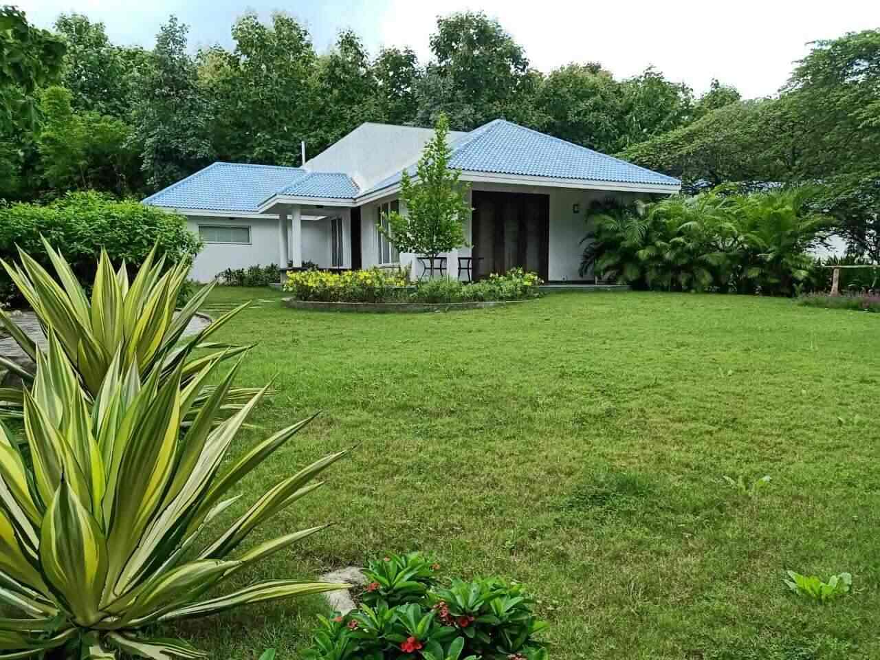 Top 100 Plant Nurseries In Nagpur Best Nursery Plant Suppliers Justdial