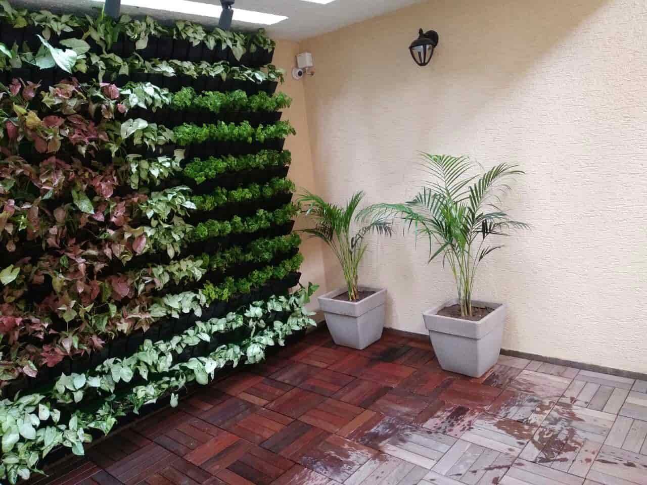 Top Nagarjuna Drip Irrigation System Dealers in Mirzapur ड्रिप