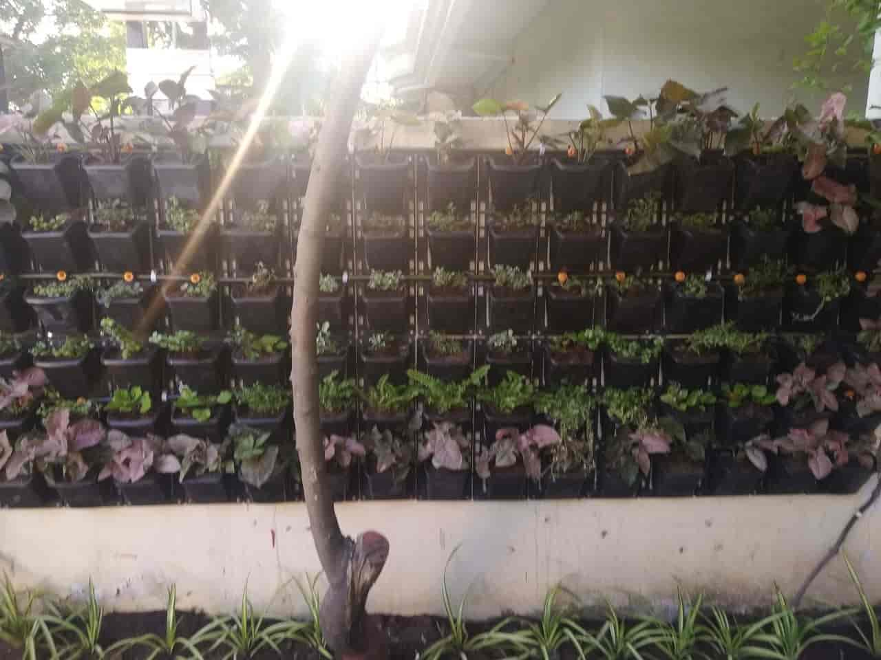 Top Nagarjuna Drip Irrigation System Dealers in Mirzapur ड्रिप