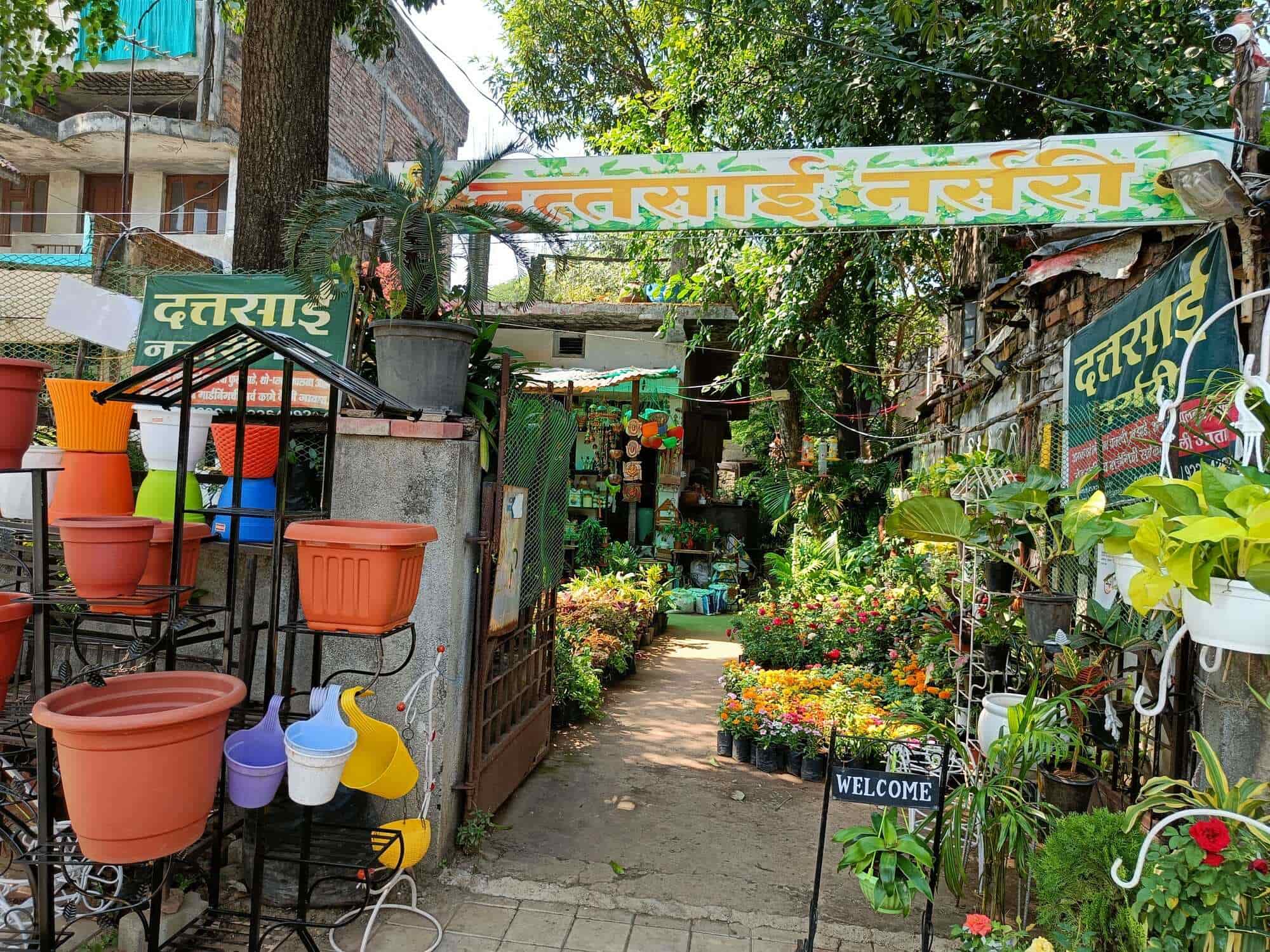 Dattasai Nursery in Hanuman Nagar,Nagpur Best Plant Nurseries in