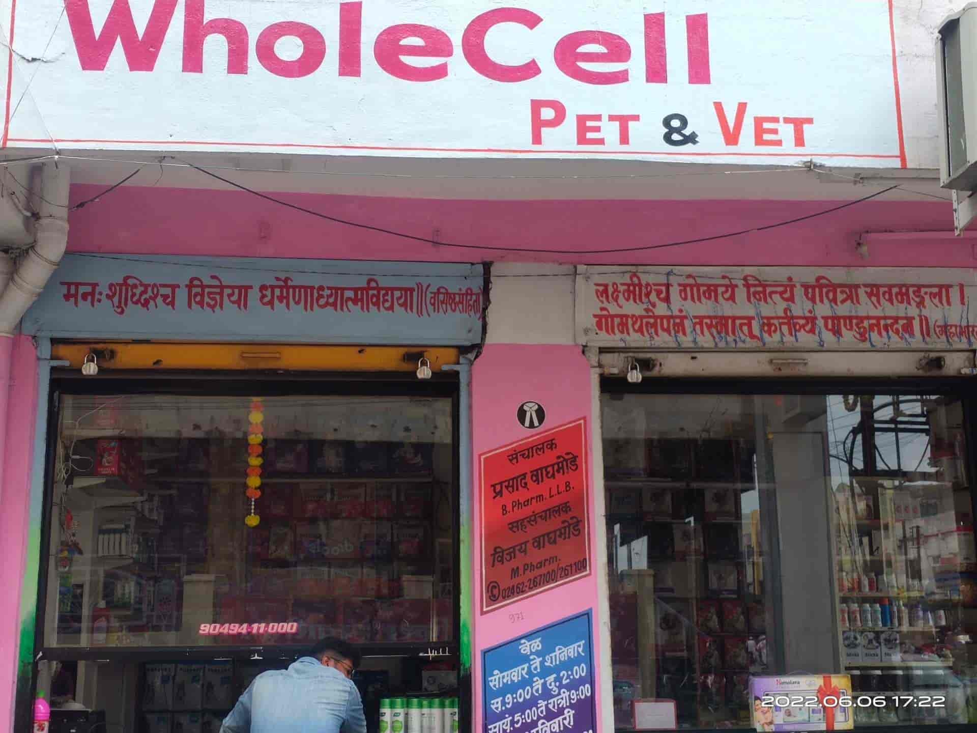 Top Pet Care Takers in Nanded Best Dog Care Takers near me Justdial