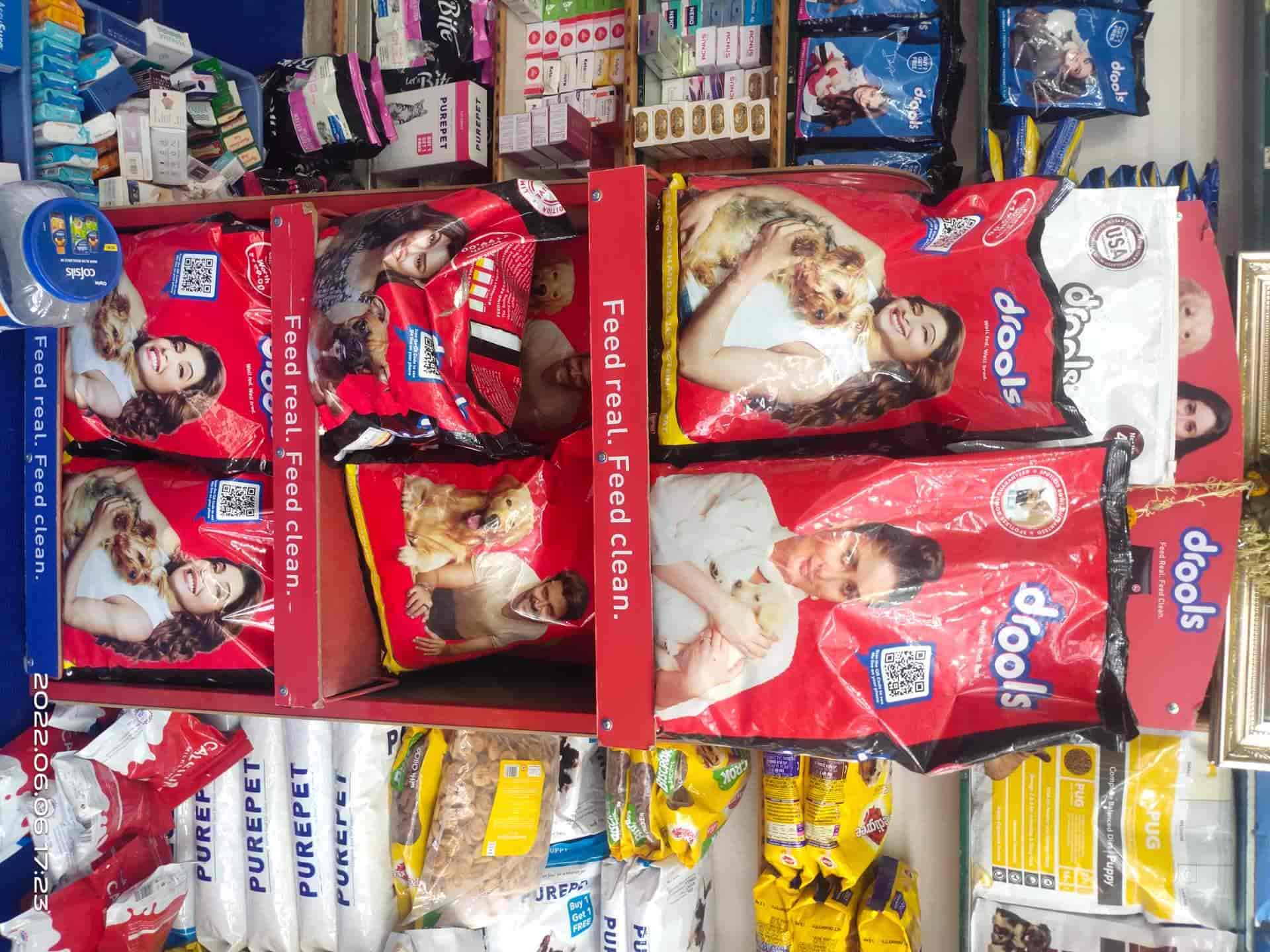 Top Pet Care Takers in Nanded Best Dog Care Takers near me Justdial