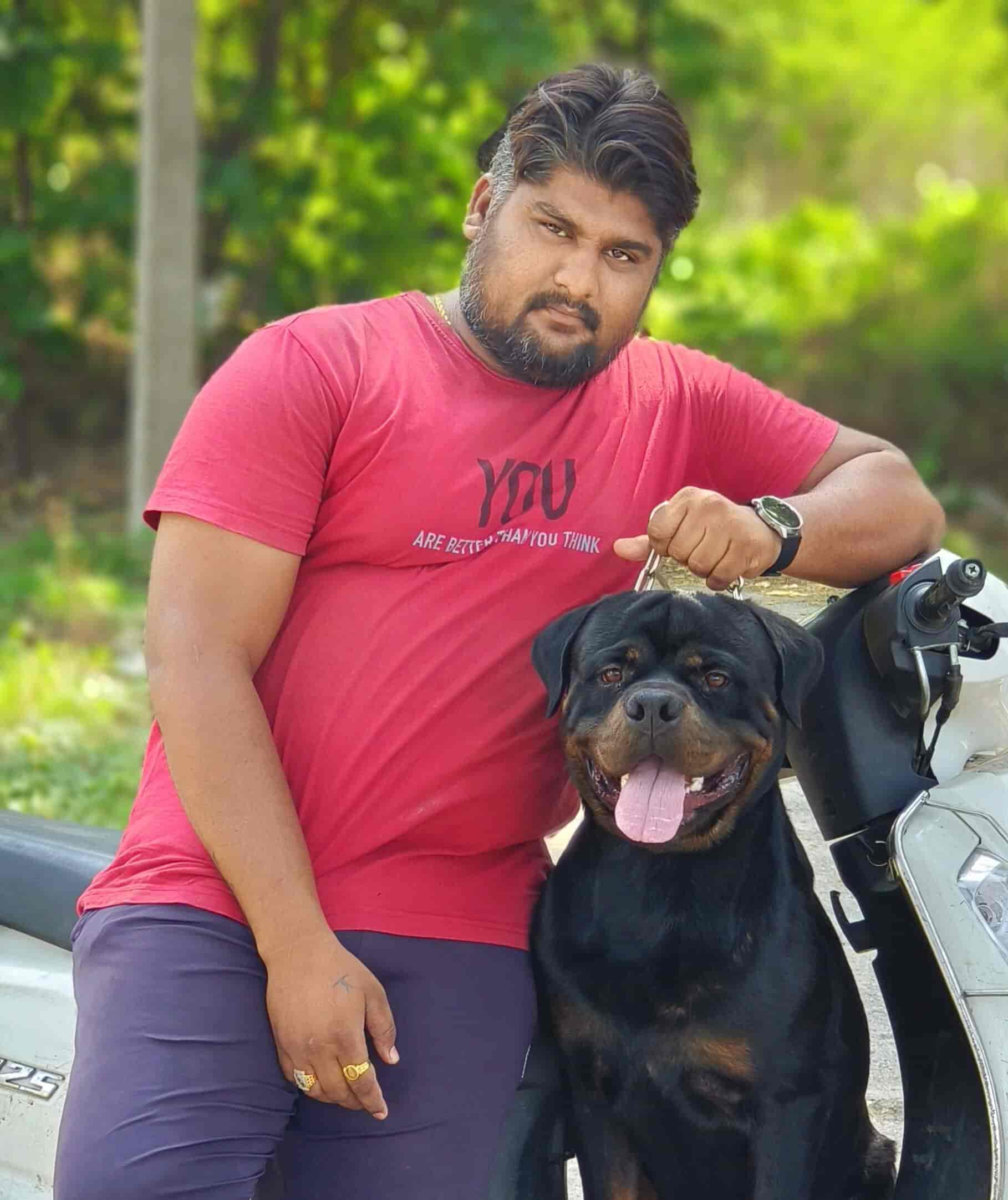 Top Pet Care Takers in Nanded Best Dog Care Takers near me Justdial