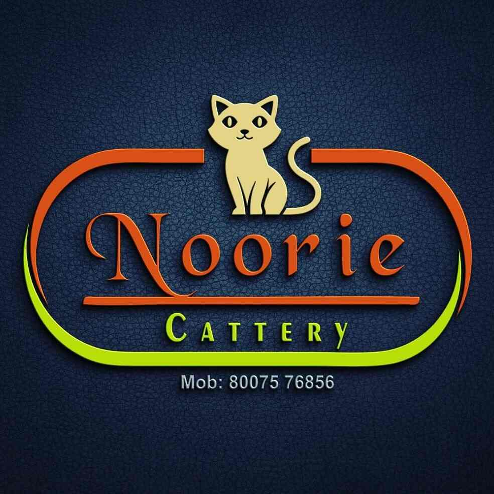 Top Pet Care Takers in Nanded Best Dog Care Takers near me Justdial
